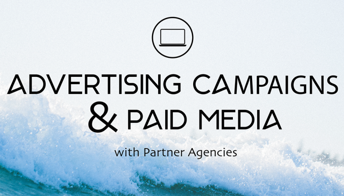 Advertising Campaign & Paid Media